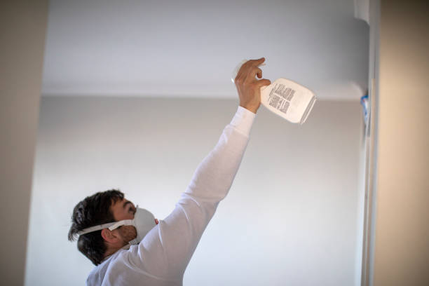 Best Best Mold Removal Companies  in Belle Plaine, KS