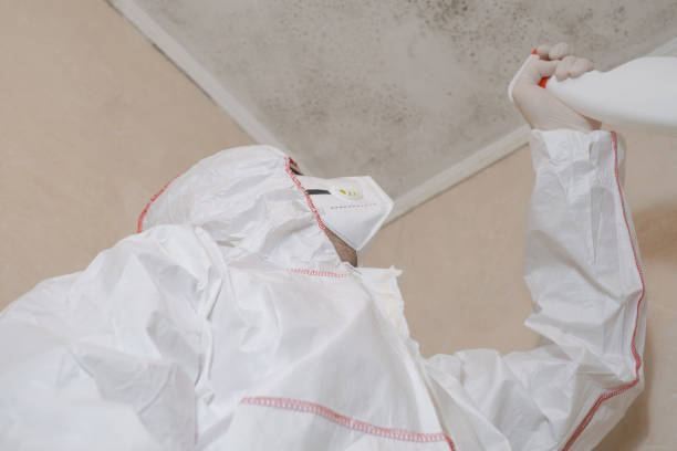 Best Emergency Mold Removal  in Belle Plaine, KS